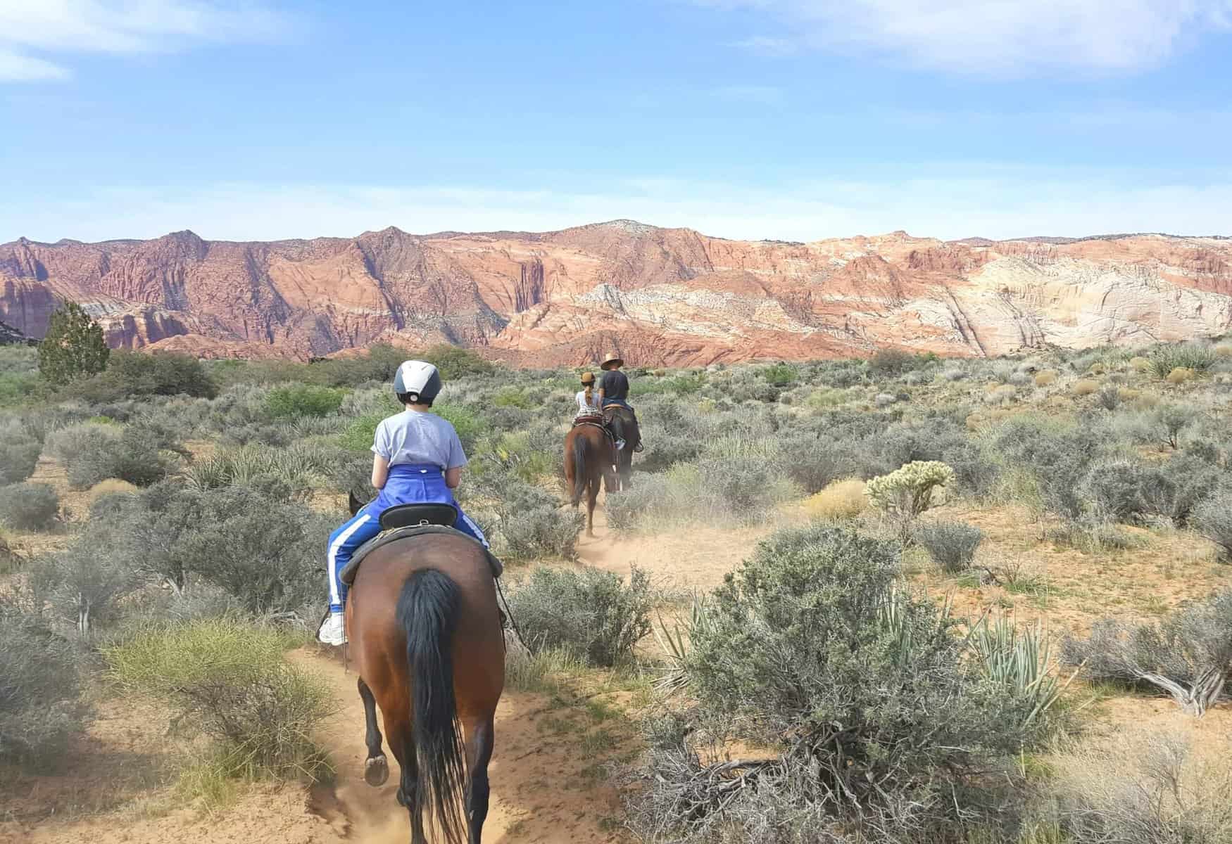 Epic Las Vegas to Zion National Park Road Trip (From a Travel Expert)